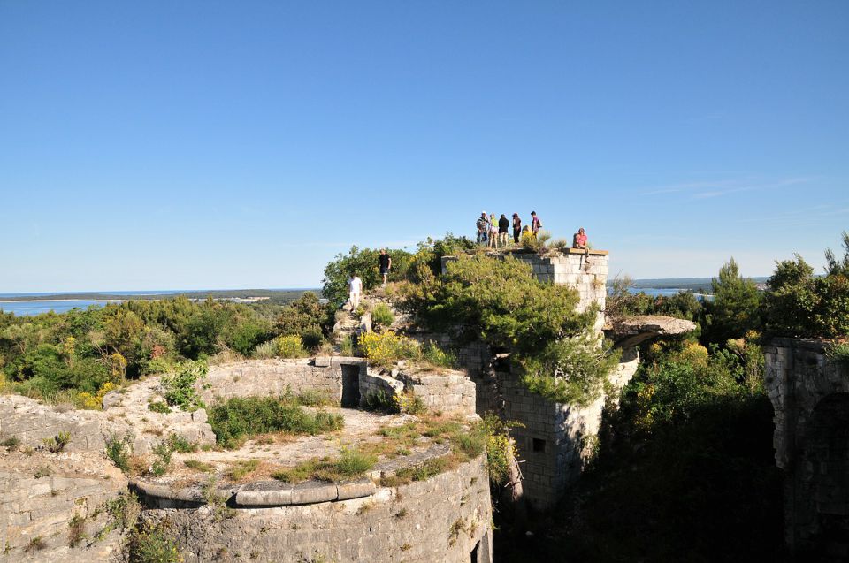 Pulapela2 - foto povečava