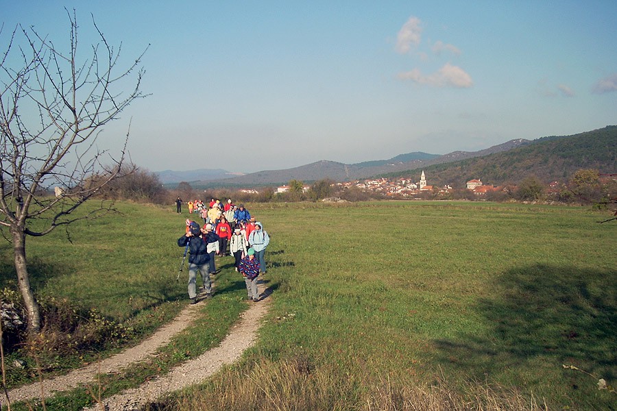 Kokoš nad lokvijo - foto povečava