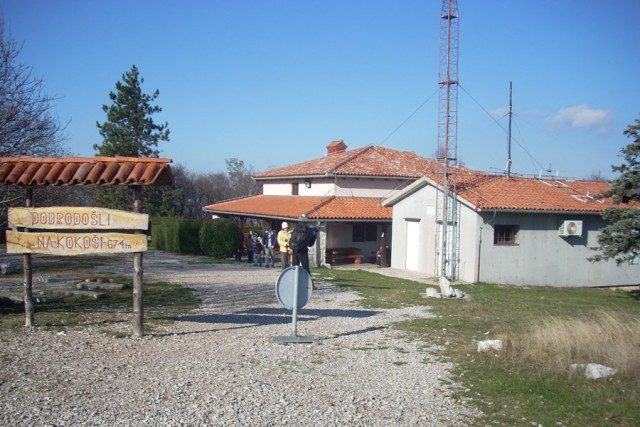 Kokoš nad lokvijo - foto