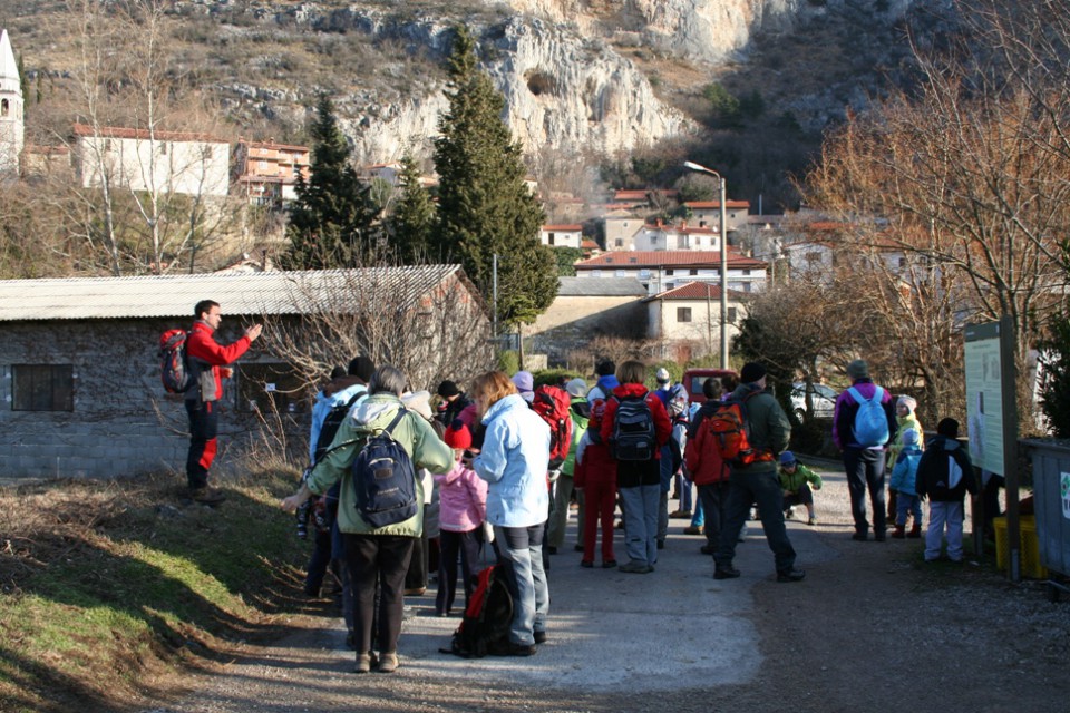 Tinjan - foto povečava