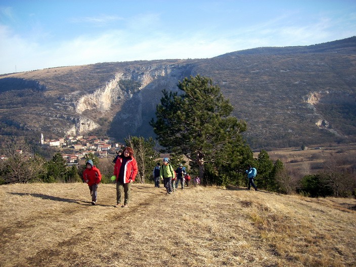 Tinjan - foto povečava