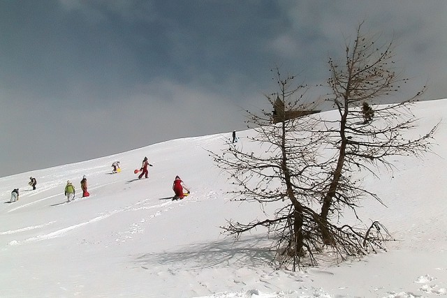 Zimski tabor 2009 - foto