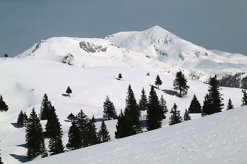 Zimski tabor 2009 - foto povečava