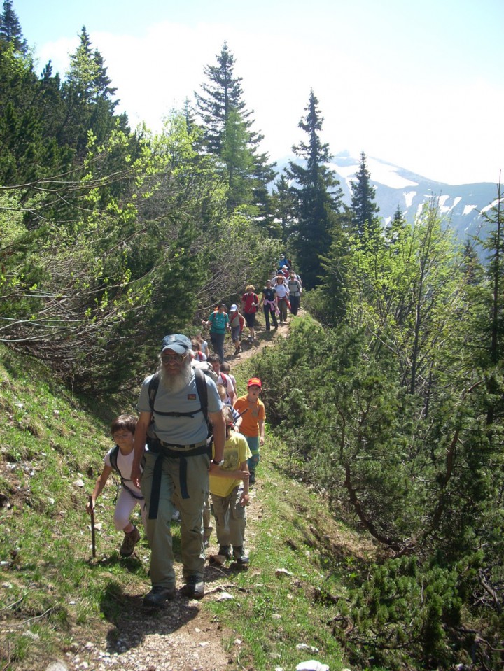 Svečica - foto povečava