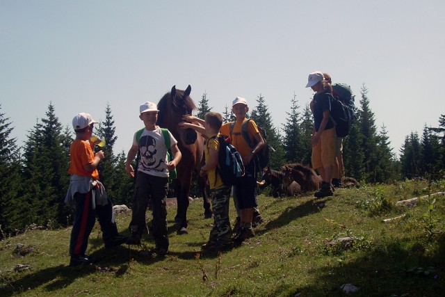 Poletni tabor MO PDM 2009 - Mozirska koča - foto