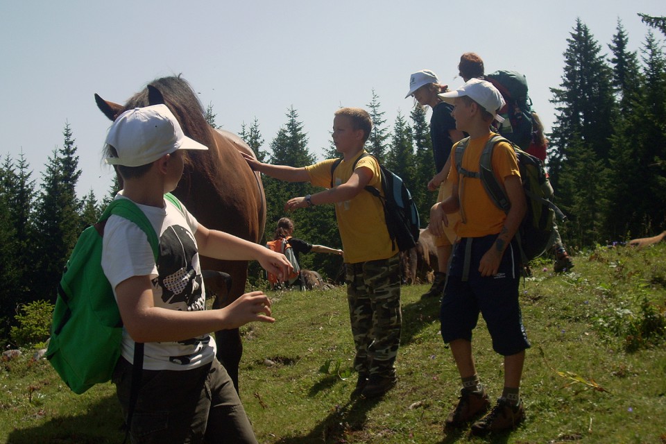 Poletni tabor MO PDM 2009 - Mozirska koča - foto povečava