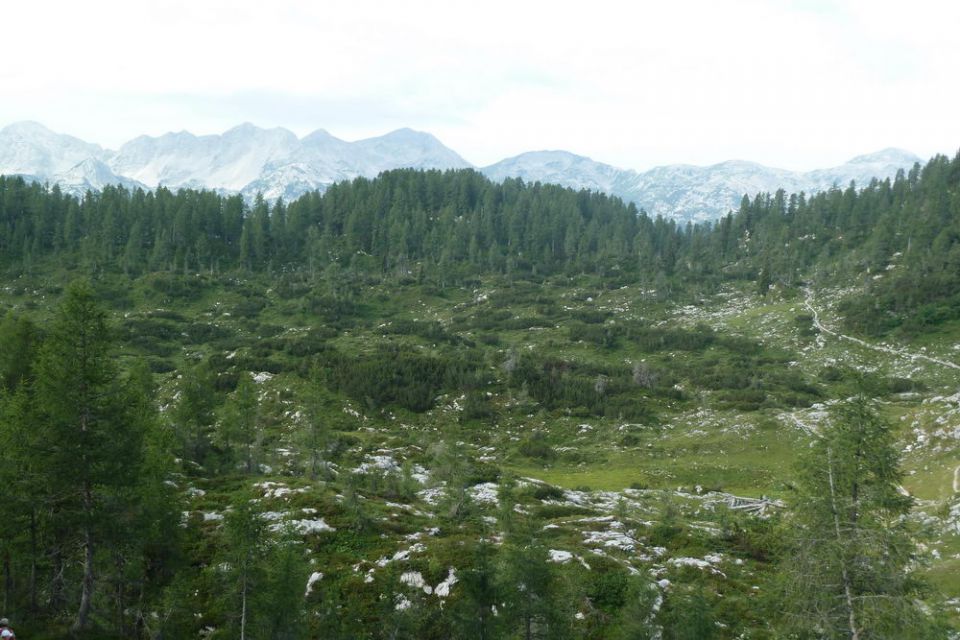 Poletni tabor MO PD Medvode 2011 - foto povečava