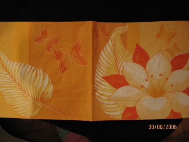 Št.1- rožice z metuljčki