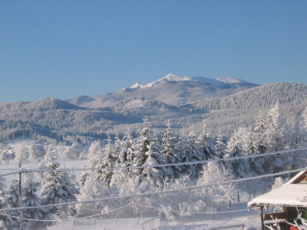 Zima - foto povečava