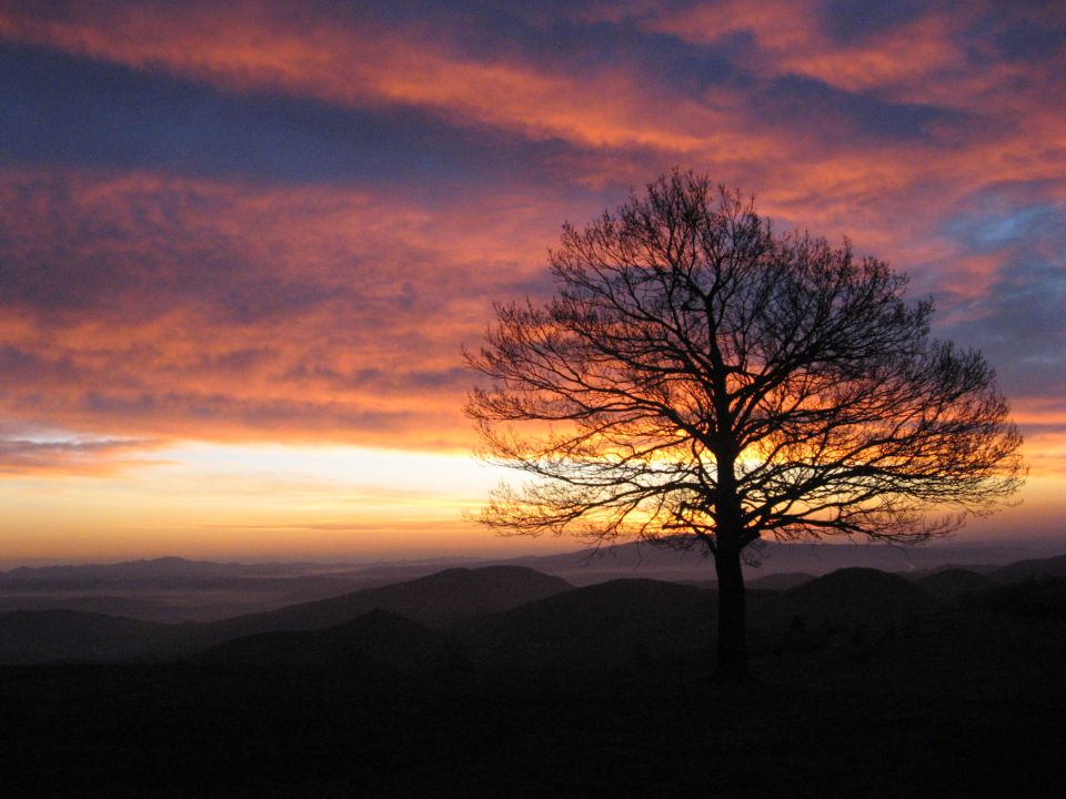 Potepanje Kolpa 2009 - foto povečava