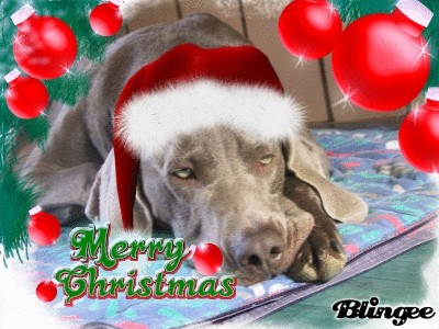 Božične - foto povečava