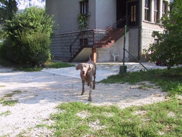 Kisovec 2003 - foto