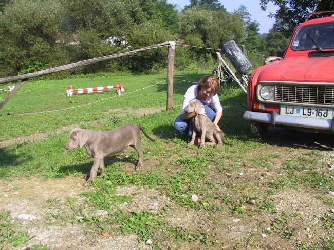 Kisovec 2003 - foto povečava