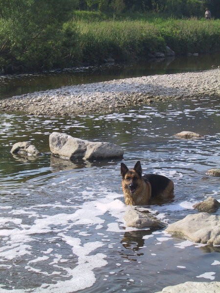 Živa in Kala na sprehodu - foto