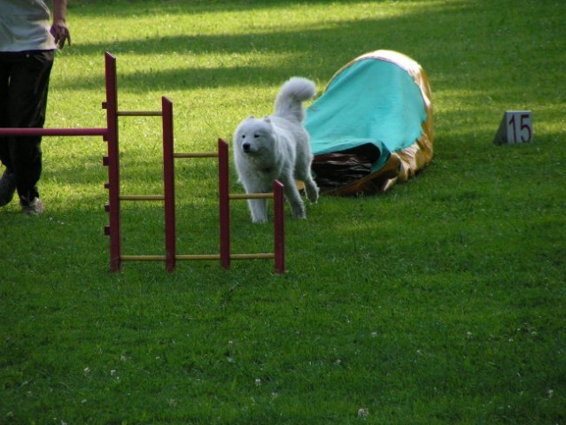 Naš trening - foto