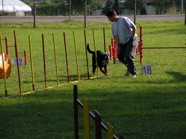 Naš trening - foto povečava