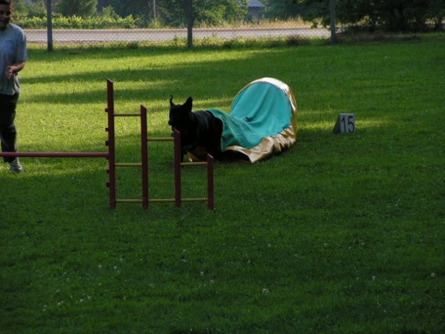 Naš trening - foto