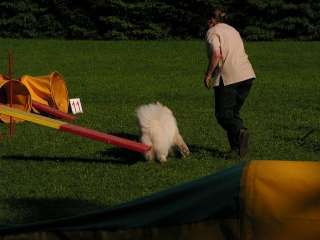 Naš trening - foto