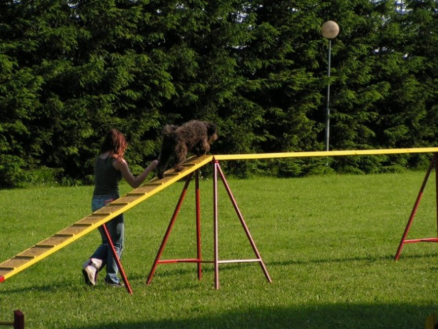 Naš trening - foto