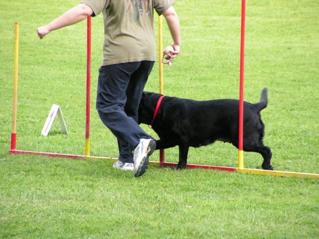 Naš trening - foto povečava