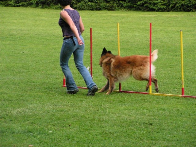 Naš trening - foto