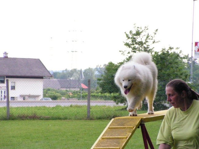 Naš trening - foto povečava