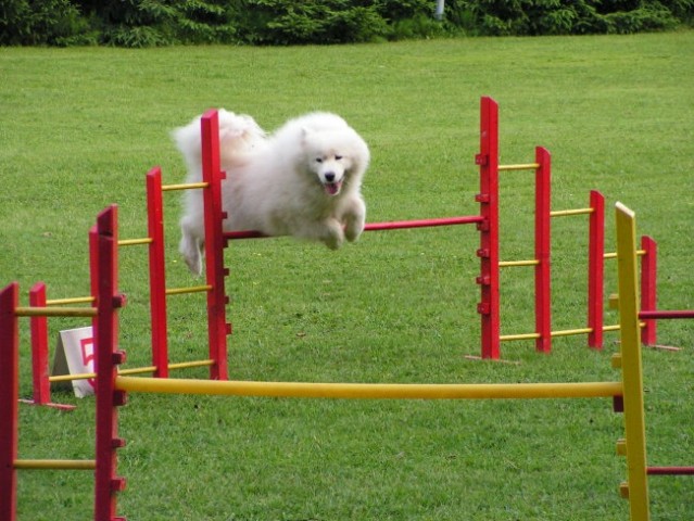 Naš trening - foto