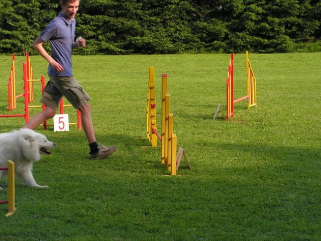 Naš trening - foto