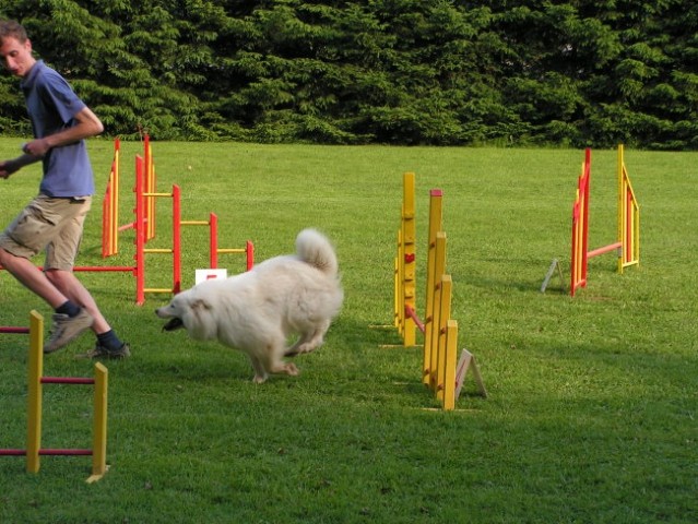 Naš trening - foto