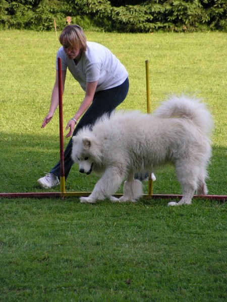 Naš trening - foto povečava