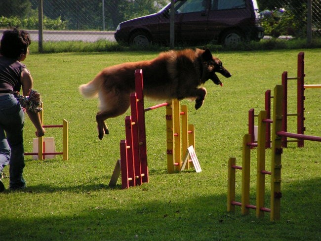 Naš trening - foto povečava