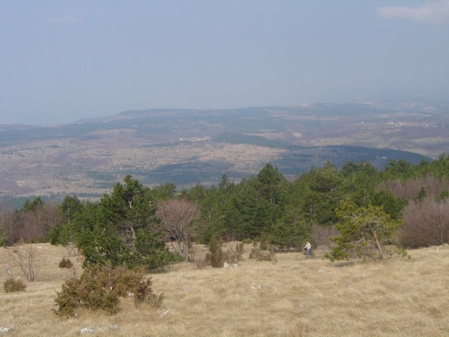 Slavnik, Kraški rob, 2.4.2006 - foto povečava