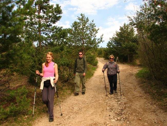 Slivnica (1114 m), 2.5. 2008  - foto povečava