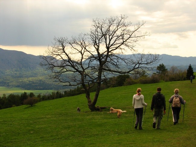 Slivnica (1114 m), 2.5. 2008  - foto povečava