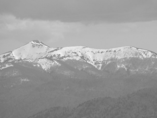 Slivnica (1114 m), 2.5. 2008  - foto