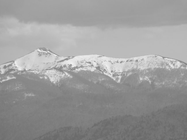 Slivnica (1114 m), 2.5. 2008  - foto povečava
