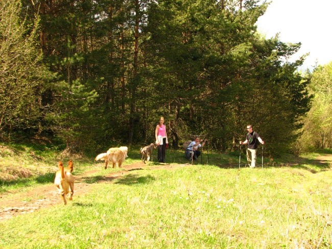 Slivnica (1114 m), 2.5. 2008  - foto povečava