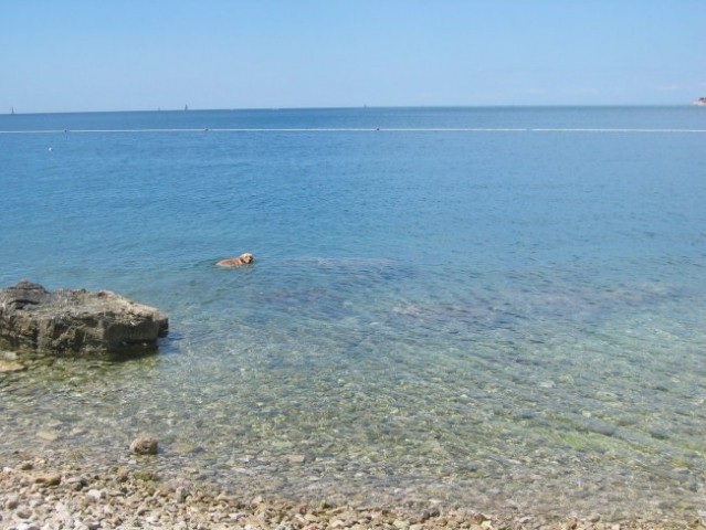 Morje - maj 2008 - foto