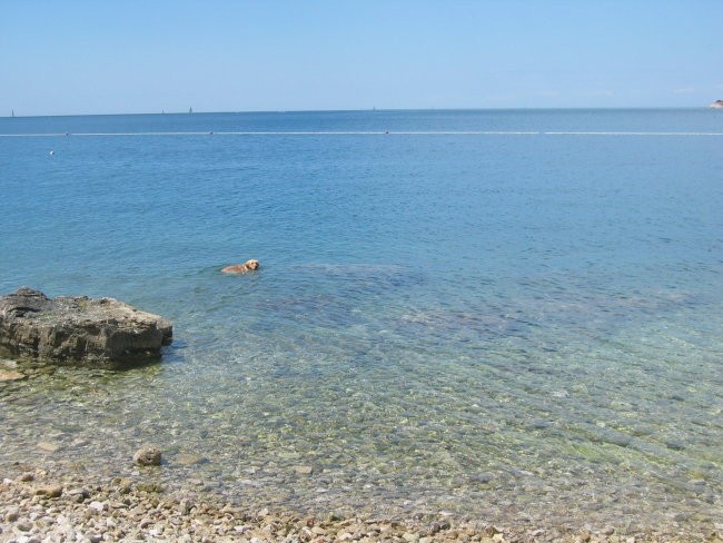 Morje - maj 2008 - foto povečava