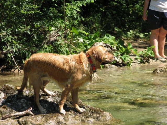 Iški Vintgar, 26.7. 08 - foto
