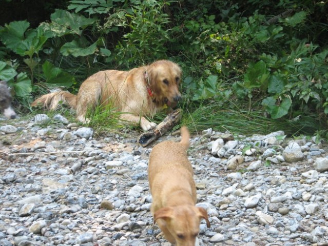 Iški Vintgar, 26.7. 08 - foto
