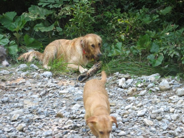 Iški Vintgar, 26.7. 08 - foto