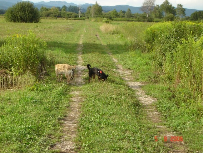 Poletje 2006 - Pupa - foto povečava