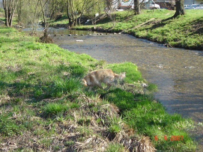 Potepanje - april 2007 - foto povečava