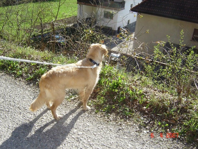 Potepanje - april 2007 - foto povečava