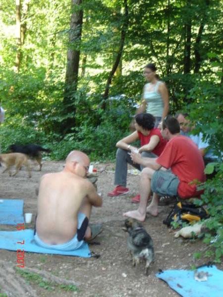 Piknik - 15.7. 2007 (Pupa, Črta, Rea, Miško) - foto povečava