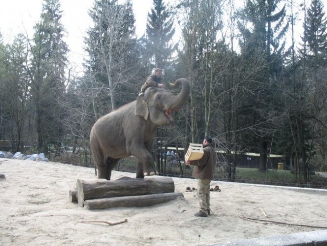 Ljubljanski živalski vrt - foto
