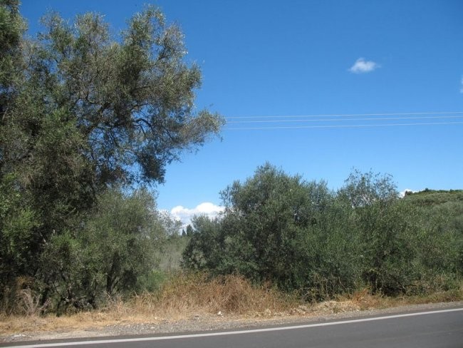 Krf, 2007 - foto povečava