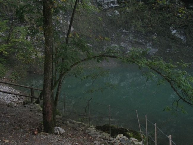 Idrija, Divje jezero - foto povečava
