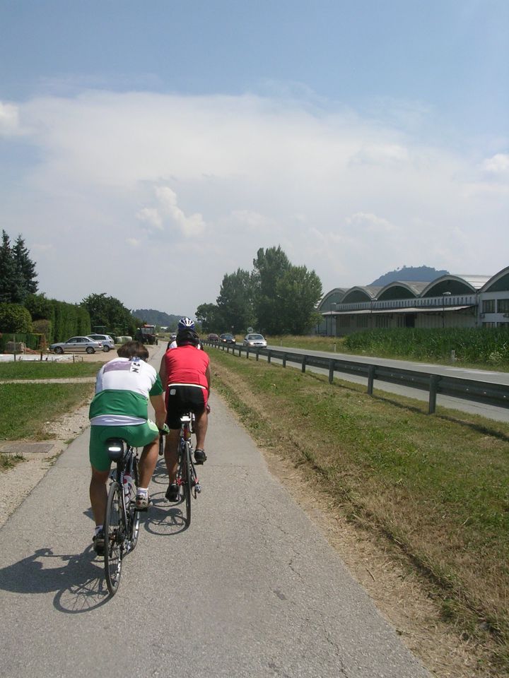 Soriška planina 17.7.2010 - foto povečava